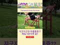 📣📣📣지긋지긋한 무릎통증 간단한 운동으로 해결됩니다 knee pain therapeutic exercises