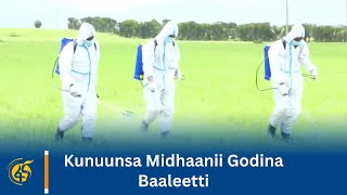 Kunuunsa Midhaanii Godina Baaleetti