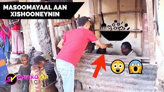 MASOOMAYAAL aan Xishooneynin | ila Daawo Yaabka Aduunka😲😱