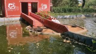 Kakatiya Zoological Park Vlog in Telugu | Best Zoo Tour in Telangana | Wildlife Adventure