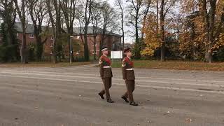 Marching & halting Pair, slow time