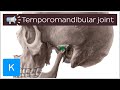 Temporomandibular joint | Anatomical Terms Pronunciation by Kenhub