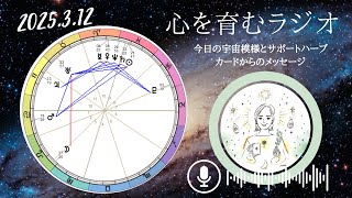 変化を実感しやすい日。違和感を無視しない！日中はボイドタイムで夕方から満月域へ🌕 【2025年3月12日】星読み&12星座別メッセージ