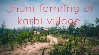 Exploring Jhum farming of Karbi village | Karbi Anglong| Assam