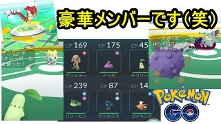 赤ギャラドスジムリーダーに！（ポケモンGO）