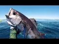 Real Tonga Spearfishing Adventure 1080 HD