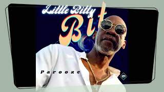 (Parooze) Little Bitty Bit Of Your Love (Parooze) OFFICIAL VIDEO