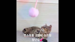 펫스윗홈 고양이 스프링 장난감💕 #고양이 #고양이털 #고양이숨숨집 #cat #cats #고양이영상 #catlover #pet #cutecat #cute