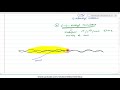 mechanism of cap formation of eukaryotic mrna 7 methyl guanosine