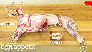 How to Butcher an Entire Lamb: Every Cut of Meat Explained | Handcrafted | Bon A