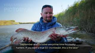 Top 10 Wisconsin Fishing Spots You Must Try