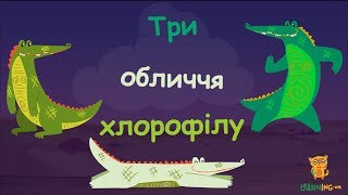 Досліди з хлорофілом 2