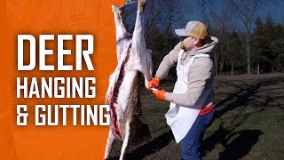 Pro Techniques for Deer Hanging and Gutting