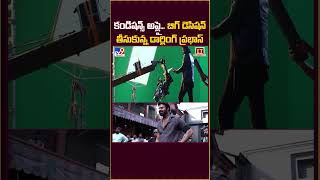 Prabhas's Decision on Upcoming Movies : కండిషన్స్ అప్లై..బిగ్ డెసిషన్ తీసుకున్న డార్లింగ్ ప్రభాస్‌