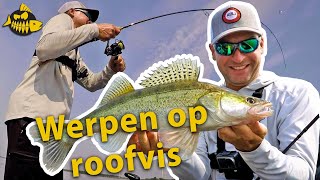 Zo werpt TOPVISSER Jeremy Staverman met shads op roofvis-  Alle INS & OUTS