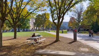 A Fall Walk Through Carnegie Mellon University | 4K HDR