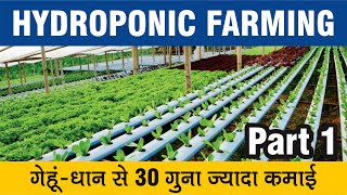 Hydroponic Farming : गारंटी से गेहूं-धान से 30 गुना ज़्यादा कमाई कैसे? विस्तार से जानें !