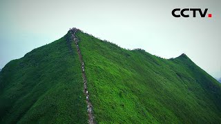 跟随徐霞客的脚步，在崇山峻岭间寻找白头叶猴！左江之畔百舸争流，上演水上的“速度与激情”！| CCTV「远方的家」20241004 畅游边疆（5）