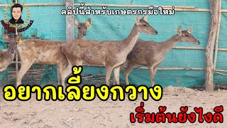 อยากเลี้ยงกวาง ... เริ่มต้นยังไง คลิปนี้มีคำตอบ