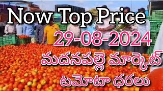 29-08-24#madanapalle tomato market price today#todaytomatoprice🍅#madanapalle#మదనపల్లి#sreenivasvlogs