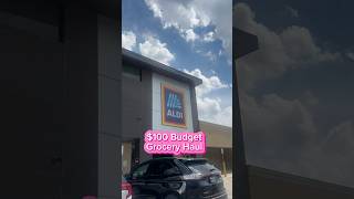 FEEDING A FAMILY OF 4 ON $100 BUDGET AT ALDI  #shorts #budgetshopping