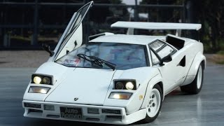 LAMBOLGHINI COUNTACH 5000S Q.V.(1/24 FUJIMI)