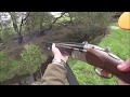 Driven Fox Hunt with Beretta Silver Pigeon 12g and Beagles Victoria 20/06/2019