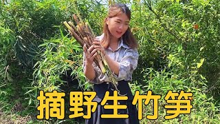 小九去挖野生竹笋，没想到遍地都是，摘的真过瘾，收获满满！【广西小九妹】