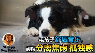 🐶【狗狗也爱听音乐! 消除狗狗分离焦虑症 】 🎵🎶 消除狗狗分离焦虑，让毛孩子在5分钟内入睡，缓解焦虑和紧张情绪的舒缓的音乐 🐶 安抚放松你的狗狗  8小时让狗狗深度放松的音乐  🎵🎶