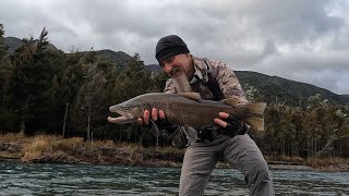 Late Season Brown Trout NZ 🇳🇿