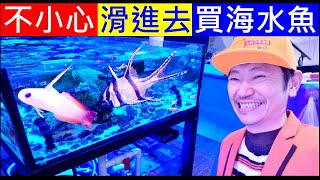 不小心滑進去買海水魚【去魚店買魚Go buy sea fish】白同學買魚