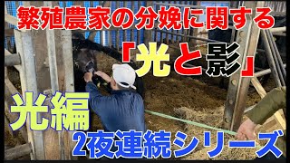 【繁殖農家の実情】2夜連続シリーズ！繁殖農家の光と影‼︎今回は年内初の分娩