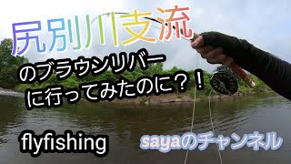 尻別川支流のブラウンリバーに行ってみたのに？！