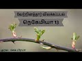 நெகேமியா 13 விவிலியம் அறிவோம் bible in tamil book of nehemiah 13