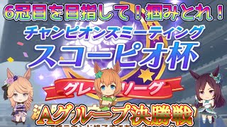 [ウマ娘]スコーピオ杯Aグループ決勝戦！波乱の予感のプラチナ称号なるか！？