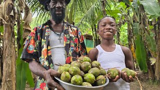 Picking June Plum \u0026 Making NATURAL Juice with Mokko, Ratty \u0026 Coopy