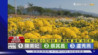 追火車.拍杭菊  飛鳥的視野看大地拼布｜TVBS新聞