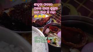 ଶୀତୁଆ ପାଗରେ ପଖାଳ ସାଥେ ଶୁଖୁଆ ଭଜା ଆହା କି ମଜା 🤤🤤#shortsfeed #shorts #@odiagharachalani