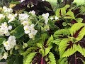 🌿~ Colorful Shade Containers ~ 🌿