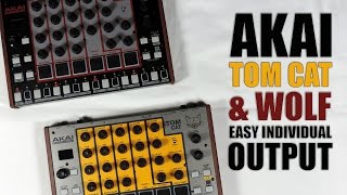 Akai rhythm WOLF / tom CAT EASY INDIVIDUAL OUTPUT / SORTIES SÉPARÉES FACILE