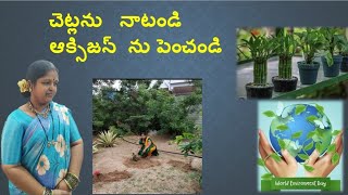 చెట్లను నాటండి ఆక్సిజన్ ను పెంచండి ll World Environment Day special