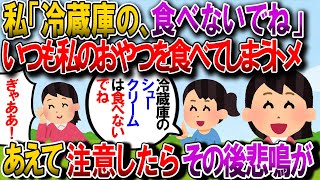 【修羅場】いつも私が買ったおやつを先回りして食べるトメに、私「冷蔵庫のシュークリームは私のだから食べないでね！」とあえて注意喚起→1時間後、台所からトメの悲鳴【2chゆっくり解説】