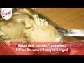 Bakso Unik Ala-Ala Prasmanan! Pilihan Baksonya Buanyak Banget! - BIKIN LAPER (4/11/24) P4