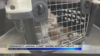 Onslow animal clinic utilizing program to manage feral cats