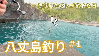 【八丈島釣り＃1】妻念願のアレが釣れた日