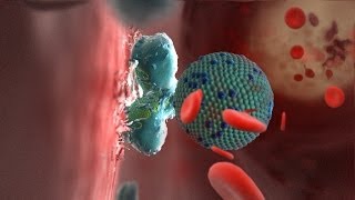 Bad Cholesterol hdl and ldl in the blood stream medical animation