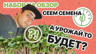 Набор на обзор. Сеем семена. А Урожай микрозелени будет?