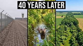 Germany Sealed 870 Miles of Land From Humans for 40 Years — What Came Back Was Unbelievable