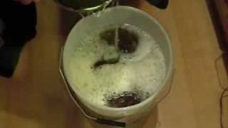 How to Brew Beer or Lager at Home from a Kit