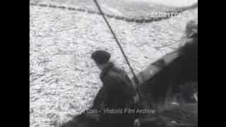 HD Historic Archival Stock Footage WWII - Canada Fishermen Make Record Haul